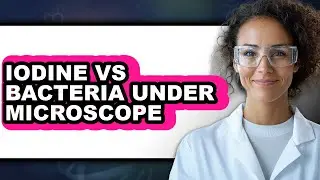 Iodine Vs Bacteria Under Microscope - Which Is Better?