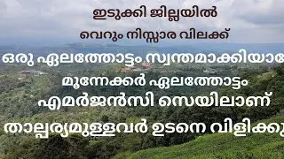 A three-acre cardamom plantation was acquired for a mere pittance.