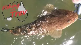 Are Bananas bad Luck on a Boat and a Flathead