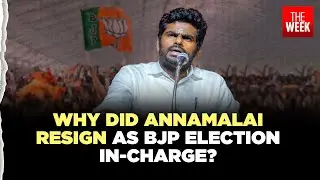 K. Annamalai quits election role: What's next for BJP in Tamil Nadu? EXPLAINED Annamalai