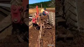 High-Tech Trenching for Underground Cabling! ⚡🚜 #Shorts #trenching