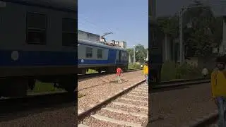 Agar Bandikui Emu Passenger #travel #trendingshorts #india #emu #bandikui