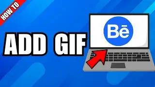 Как добавить GIF-анимацию в Behance