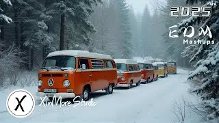 EDM Remixes 2024 🎧 TikTok Viral Songs 🎧 Club Bangers & Future House (Best of Party Mix)