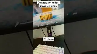 #caseopener #cs2 #drop #challenge Пока приостанавливаю открытие кейсов, вернусь чуть позже❤️