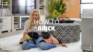 Kortney Wilson's Tips on Making Faux Plants Look Real | The Brick