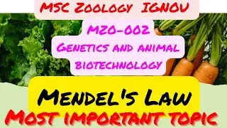 MSc Zoology IGNOU MZO-002 Genetics and Biotechnology Mendel's law #ignou #biology #genetics
