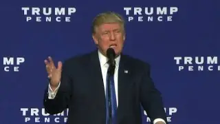 Trump: Babies and losers are running the country