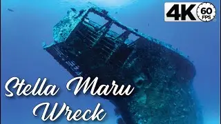 stella maru wreck