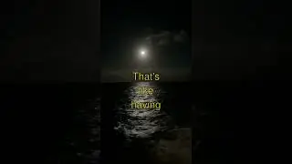 Incredible Secrets About Bioluminescent Animals and Plants!