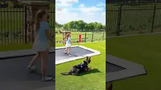 🐶😱 Собака мгновенно бросилась на незнакомца, который подошёл к девочке!