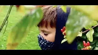 jacktalks fan edit