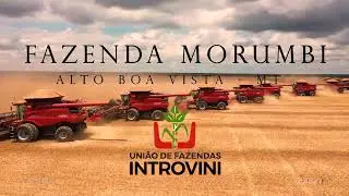 COLHEITA DE SOJA NA FAZ. MORUMBI ALTO BOA VISTA. 10 COLHEITADEIRAS CASE IH.