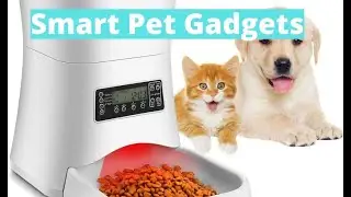 6 Smart and Innovative Pet Gadgets