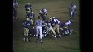 Lake View vs Ruffin 1991