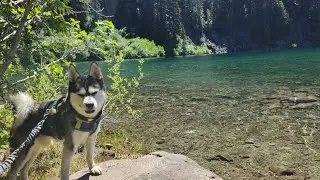 Annette Lake Washington's hike trail .