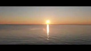 Witness