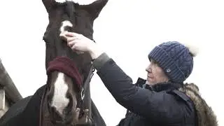 Renwick & Sons grooming kit review | Your Horse magazine