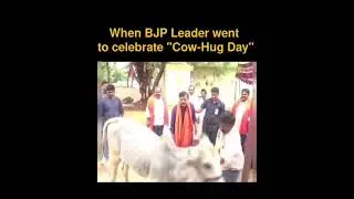 Cow hug day 🤗