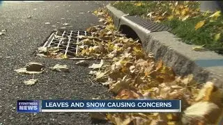 Leaves and snow are a bad combination
