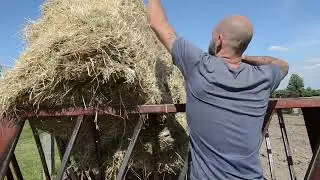 What are entry jobs really about? Farm Manager.