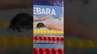 50m Butterfly NO BREATHING!!