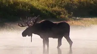 The National Park Service helps you &ldquo;find your park&rdquo;