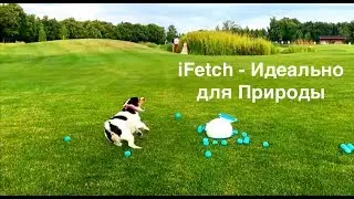 iFetch автоматическая катапульта для собак -  веселье на природе и дома