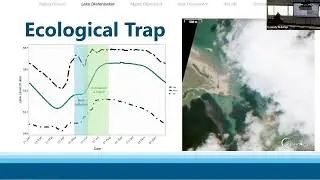 Active Management of Piping Plovers at Lake Diefenbaker