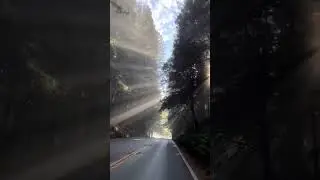 Kissing of sun rays! #adventure #travel