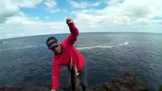 Lure fishing for pollack at St Abbs