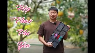 combo hộp đựng phao 12 quả chuyên rô chép diếc, đầy đủ thông số mẫu D