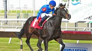 Go Go Boss - Sam Houston Race Park (1/17/2026) - Allowance