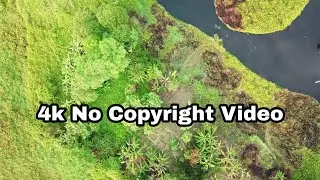 No Copyright Video | Beautiful Nature Drone Footage 4k