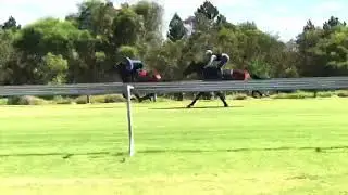 Attie primed for the Chairman&rsquo;s Cup