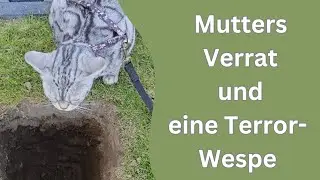 Aus Cosmos Sicht: wie kann man ihr jetzt noch vertrauen?!