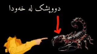 دووپشک لە خەودا //#وەڵامی_خەو