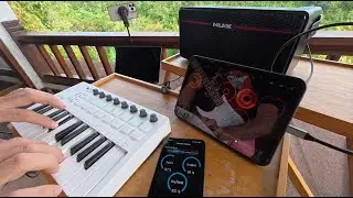 Art & Music Improvisation in Bali | Live Loop Guitar & Painting