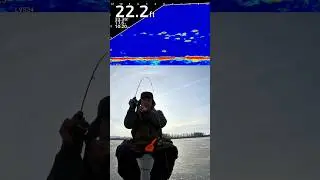 That's not a whitebass?!? 😆 #ice #fishing #fail #icefishing #funny #garmin #livescope #shorts