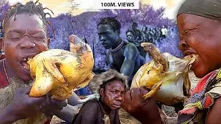 Africa's HadzabeTribe Hunters, Hunt, Cook and Eat in the Wilderness