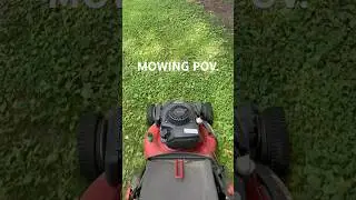 Quick pov for the feed✂️ #relaxing #overgrown #grass #satisfying #pov #firstperson #lawn #lawncare