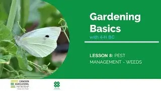Gardening Basics with 4-H BC: Lesson 8 - Pest Management (Weeds)