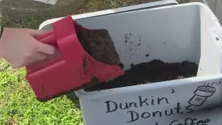 Virginia gardens recycling used Dunkin Donuts coffee grounds