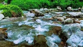 Calming River Sounds – 2 Hours of Natural Relaxation | Hulu River Sound