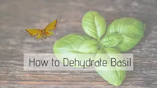 How to Dehydrate Basil in a Dehydrator | Easy Dried Basil Recipe | Save on Groceries