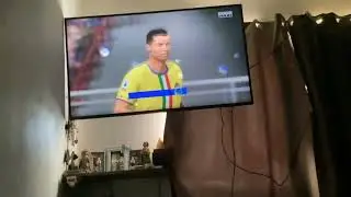 D&iacute;a dos de la carrera de Ronaldo (serie)