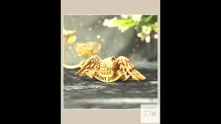 Eagle Symbol of Saint John Apostle Catholic Wood Wall Art Religious Gift Christian Decor Hand Car...