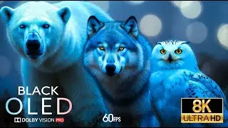 Amazing Jungle Animals 8K 60FPS &ndash; Scenic Nature Experience - Nature Animal Documentary