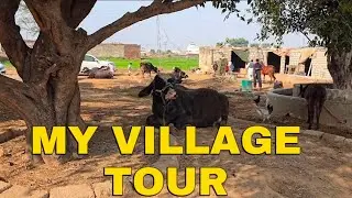 A Day in My Village | Simple Living & Pure Village Life