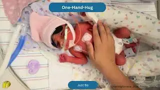 Hand Hugs in the NICU | Gentle Touch for Comfort, Bonding, and Regulation